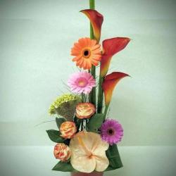 Rapid'flore