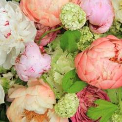 Des Fleurs Et Des Jardins