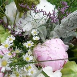 Des Lys En Fleurs