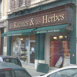Des Racines Et Des Herbes