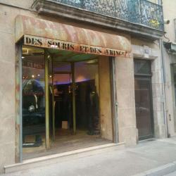 Des Souris Et Des Fringues