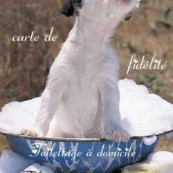 Mimi Canin