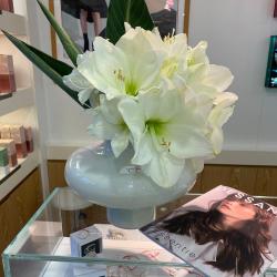 Dessange - Coiffeur Dijon