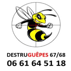 Destruguêpes 67/68