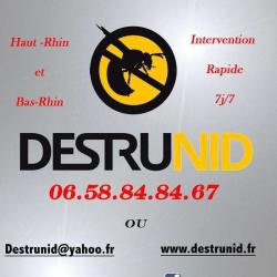 Destrunid