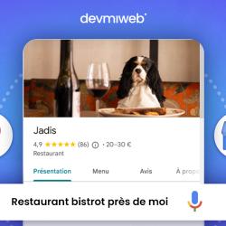 Devmiweb