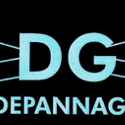 Dgdepannage