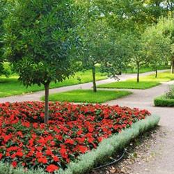 Jardinclair