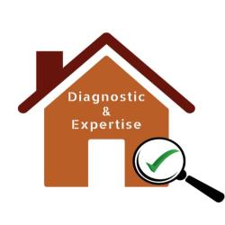 Diagnostic Et Expertise