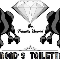 Diamond's Toilettage