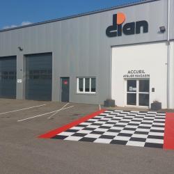 Dian Auray