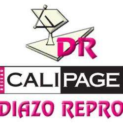 Diazo Repro