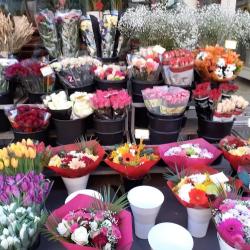 Diderot Fleurs