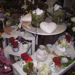 Didier Fleurs
