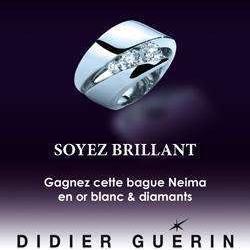 Didier Guerin Sas
