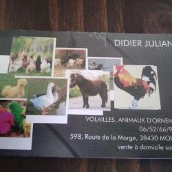 Didier Julian , Volailles Et Animaux