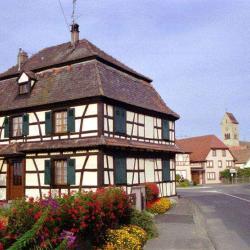 Diebolsheim