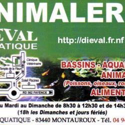 Dieval Aquatique