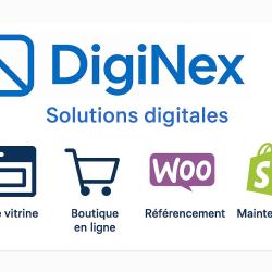 Diginex