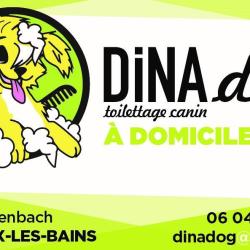 Dina Dog