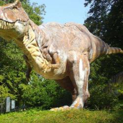 Dino Zoo