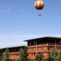 Disney Sequoia Lodge