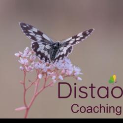 Distao