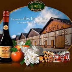 Distillerie Busnel ( Sas )