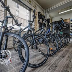Dj Cycles