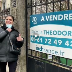 Djamila Theodore Agent Commercial En Immobilier Iad