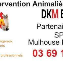 Dkmexperts
