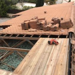 Dlm Renovation