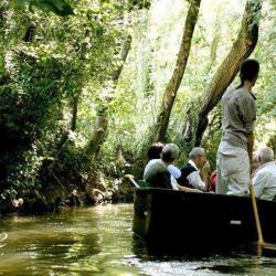 Dlms Tourisme