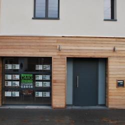 Dmg Immobilier