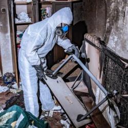 Dna - Décontamination Nettoyage Assainissement