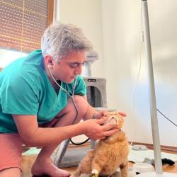 Docteur Vétérinaire Sahin - Vet A Dom 57