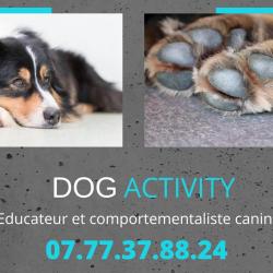 Dog Activity