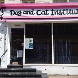 Dog And Cat Institut