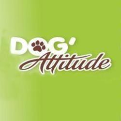 Dog'attitude