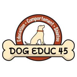 Dog Educ 45