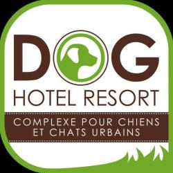 Dog Hotel Resort