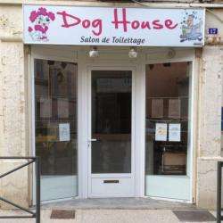 Dog House