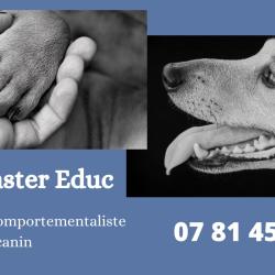 Dog Master Educ