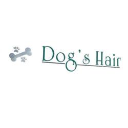 Dog's Hair