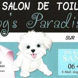 Dog's Paradise