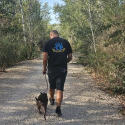 Dog's Time
