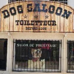 Dog Saloon