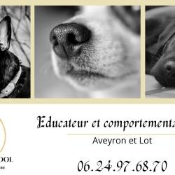 Dog Wolf School