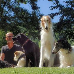 Dog Yours - Educateur Comportementaliste Canin Reconnu à Limoges Et En Haute Vienne, 87