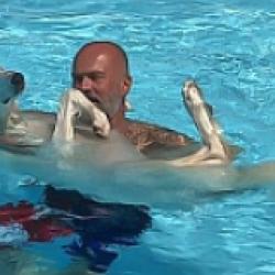 Dog Yours - Educateur Comportementaliste Canin Reconnu à Limoges Et En Haute Vienne, 87